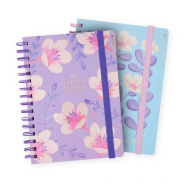 AGENDA 15X21 S.V. SPRING...